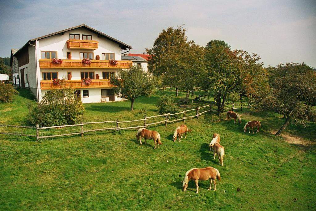 Biobauernhof Wolf-Hof Apartment Pressbaum Luaran gambar